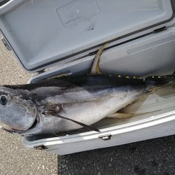 康仁丸・ジギング釣り果